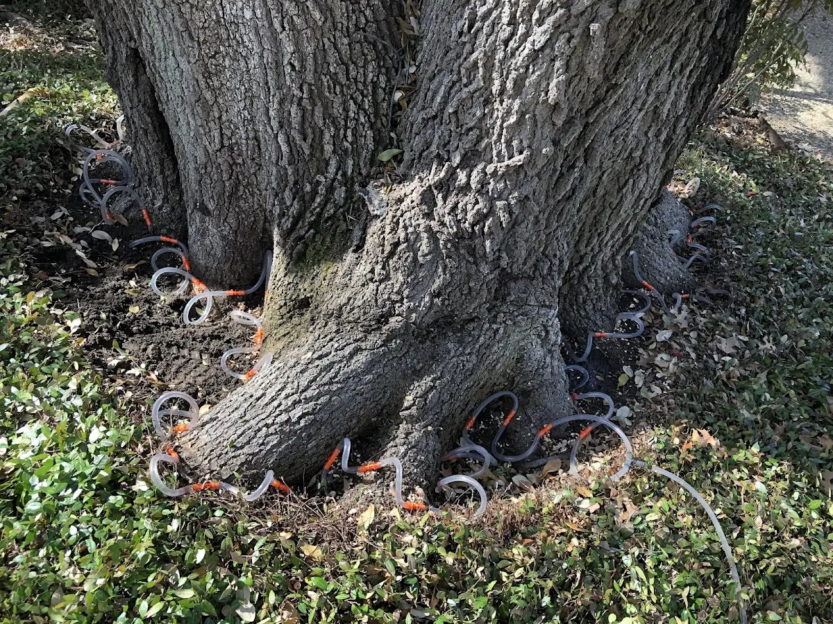 Detailed Shrub and Hedge Trimming job site in Nelsonville